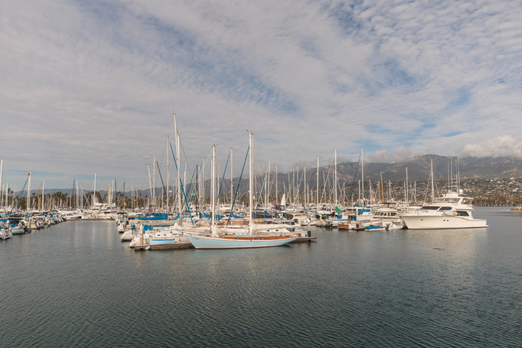 A group of sailboats docked in a marina at Santa Barbara Harbor Breakwater Wall.