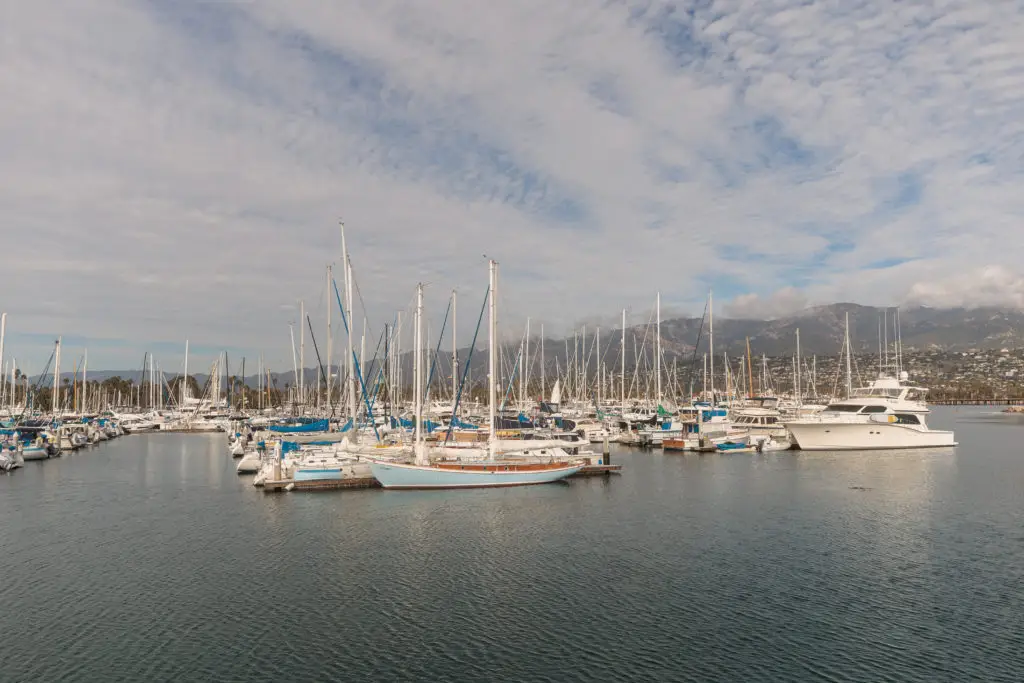 A group of sailboats docked in a marina at Santa Barbara Harbor Breakwater Wall.