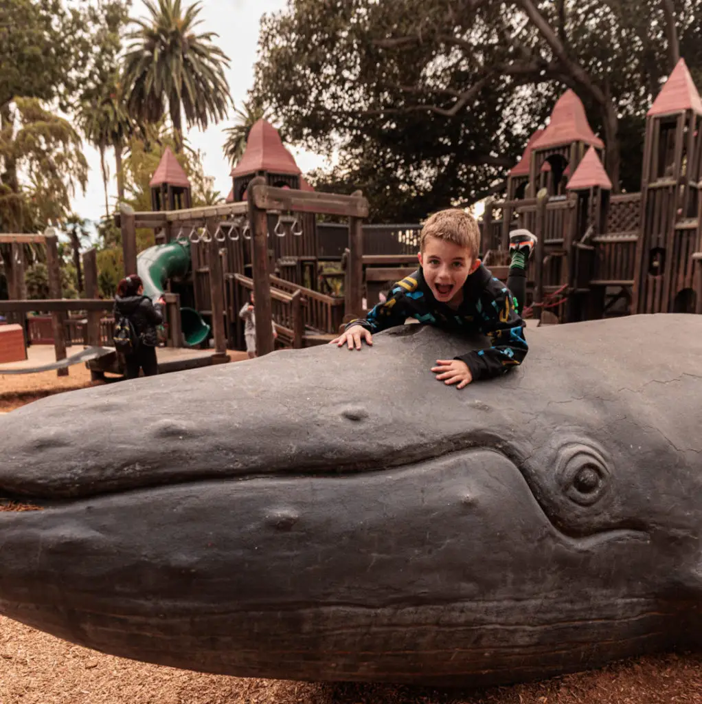 A boy is sitting on a whale. Santa Barbara Playgrounds