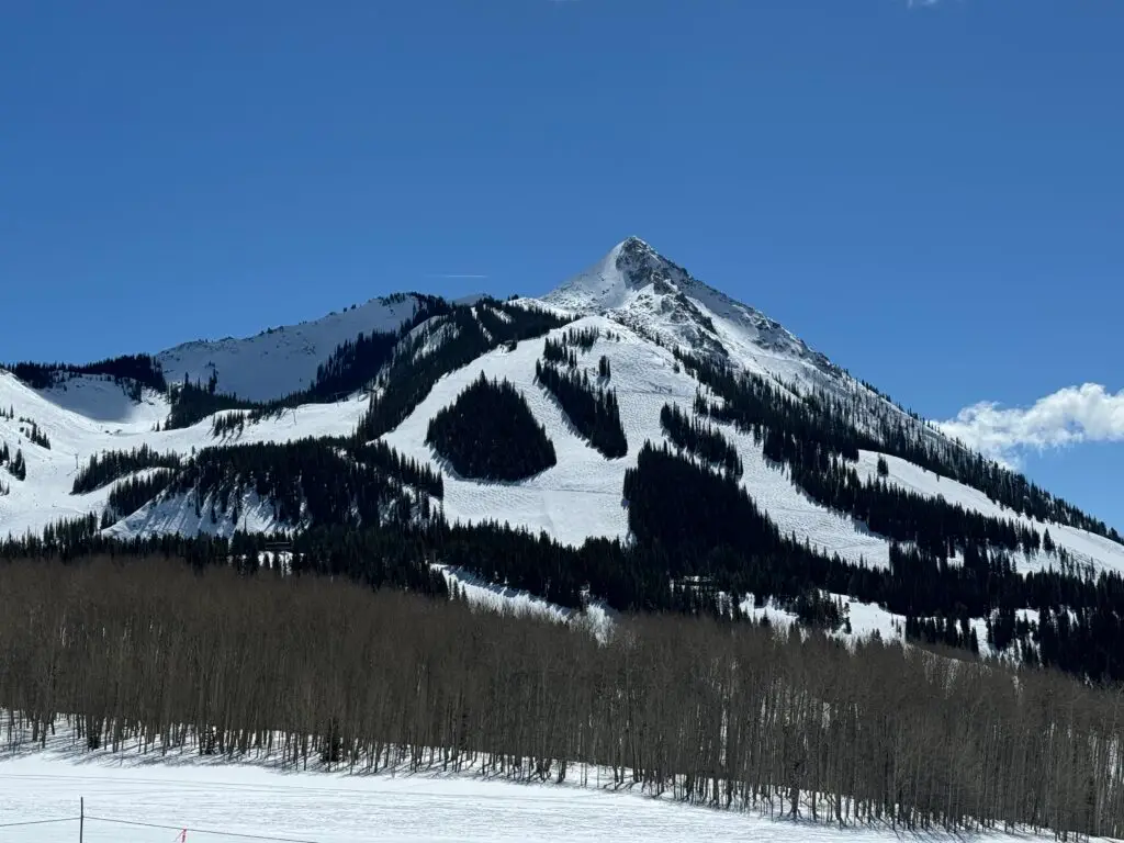 Snow-covered mountain with pine trees and a clear blue sky in the background, and a leafless forest at the base. Crested Butte family vacation.