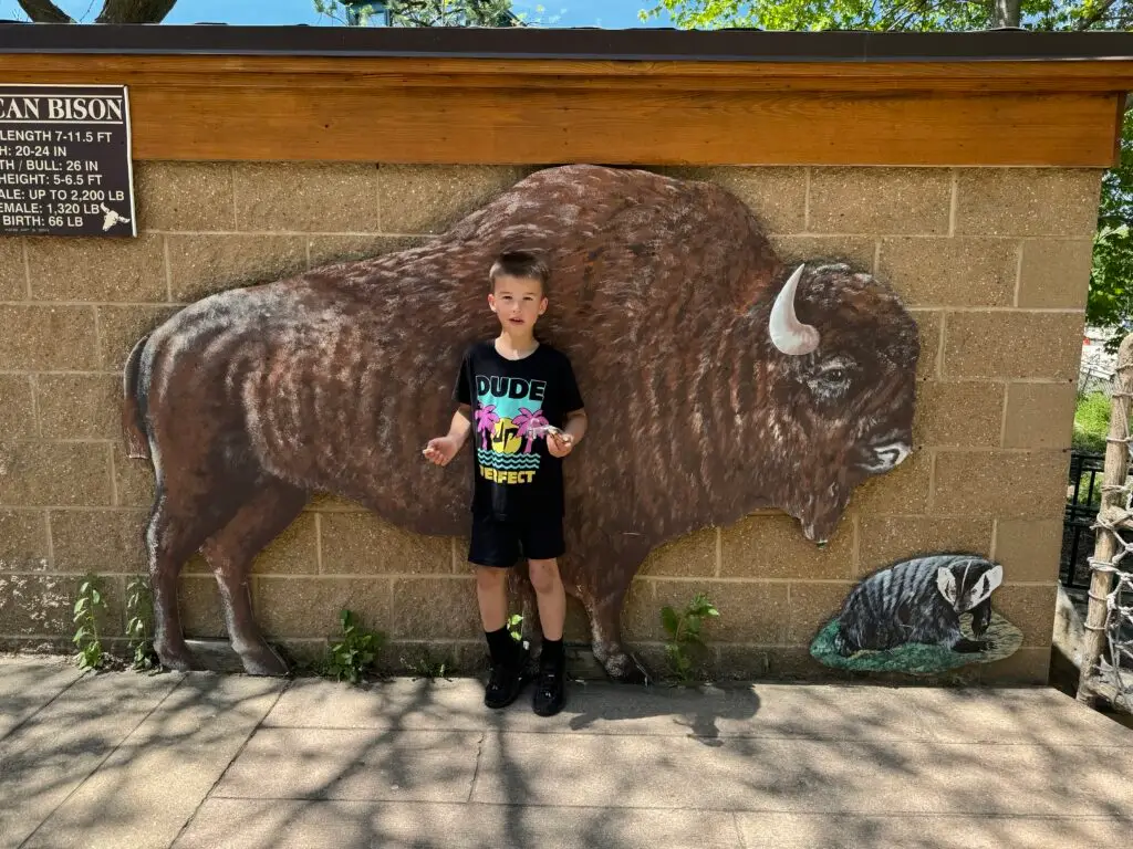 A child stands in front of a wall mural depicting a bison and a badger. A sign with bison facts is visible on the left. The child is wearing a black outfit with colorful text. Trees can be seen overhead.  Free zoo in Madison