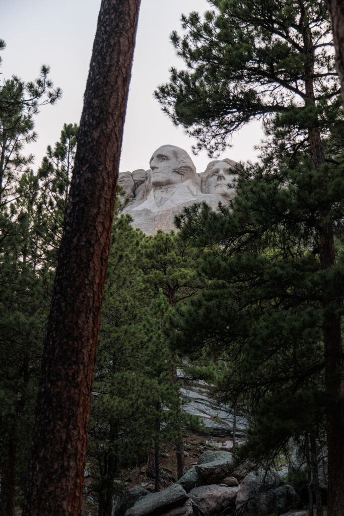 Mount Rushmore partially visible through a dense forest of pine trees. Mount Rushmore with kids