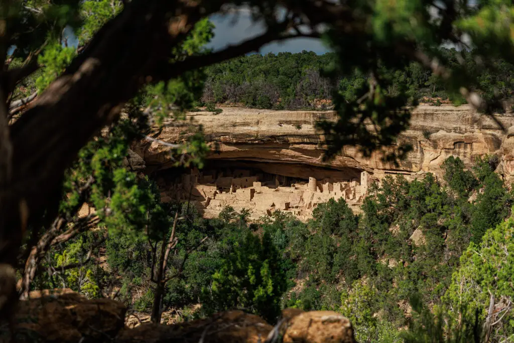 Explore the ancient cliff dwellings nestled in a rocky alcove, surrounded by trees at Mesa Verde National Park. Perfect for families, Mesa Verde with kids offers a captivating journey into history amidst stunning natural beauty.  Mesa Verde with kids.