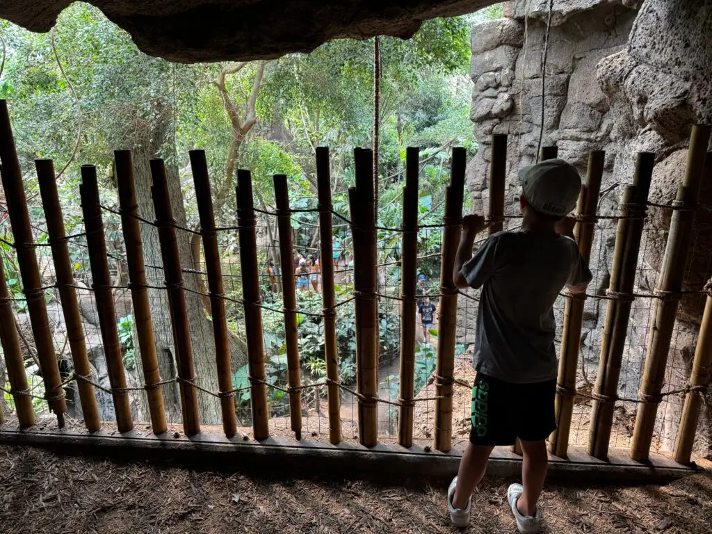 A child stands in a dimly lit cave-like area, looking through a bamboo fence at a lush, green outdoor scene.  Omaha Zoo with kids.