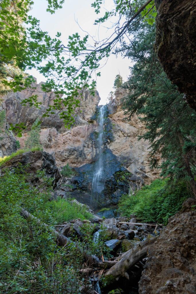 A narrow waterfall cascades down a rocky cliff in Pagosa Springs, surrounded by lush greenery and trees—an ideal spot to explore with kids. Logs and rocks at the base create a natural playground for little adventurers.