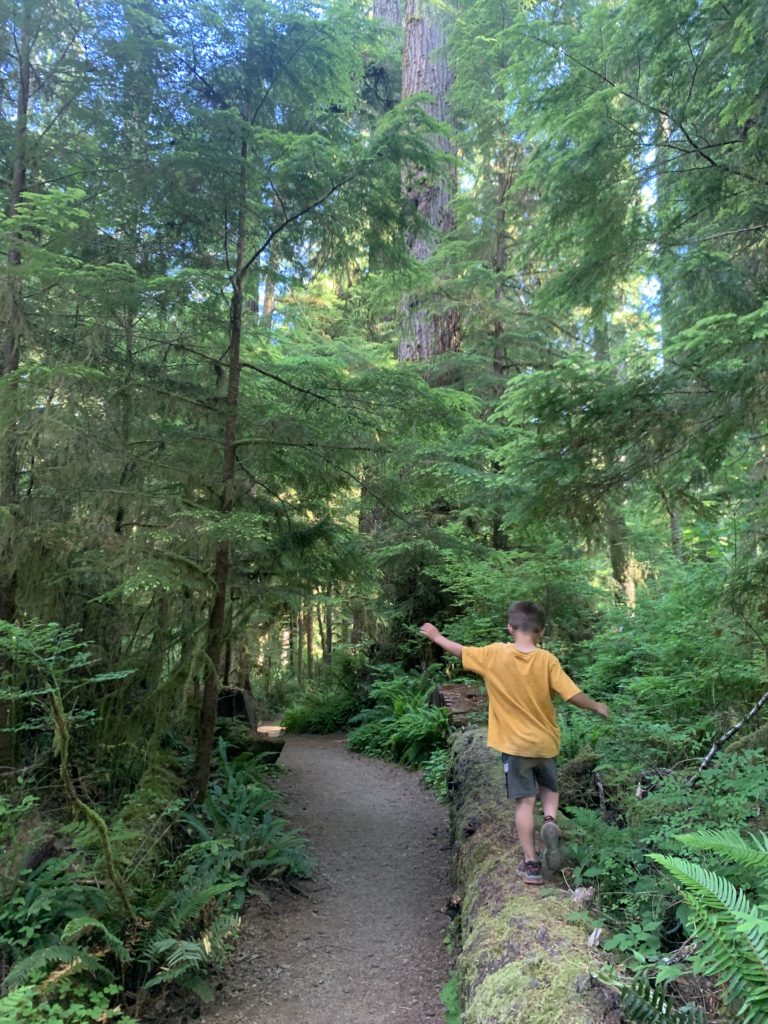 A family is traveling through a forest.