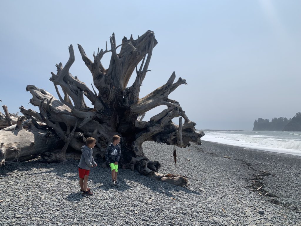 Two kids standing next to a fallen tree on a beach on their Pacific Northwest Road Trip.