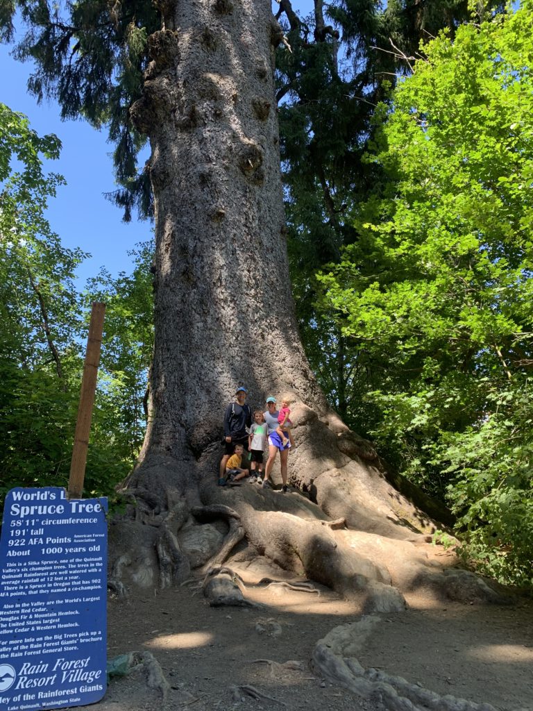 A group of kids standing in front of a large tree, representing an adventurous travel moment on their Pacific Northwest Road Trip.