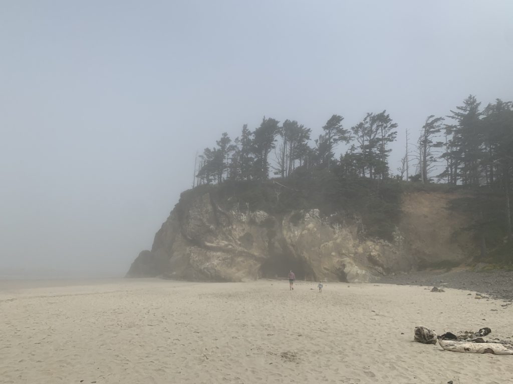 A family adventure exploring a foggy beach with trees and cliffs.