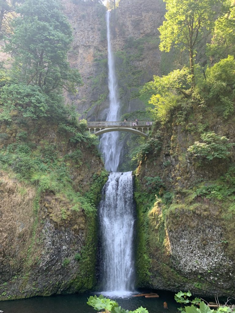 A family adventure in a lush green forest at Multnomah Falls during a Pacific Northwest Road Trip.