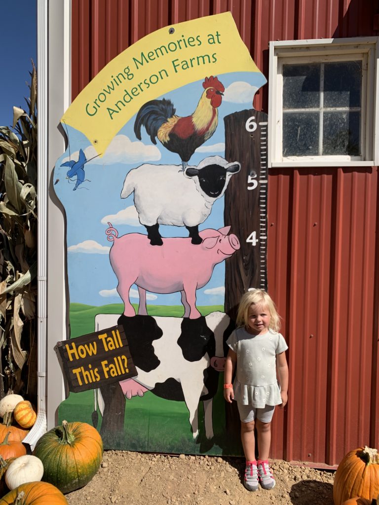 Little girl, pumpkin farm