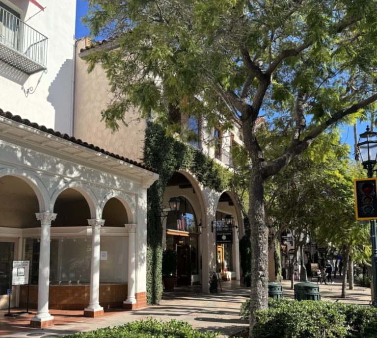 A street with trees and bushes in front of a building.