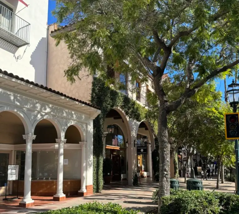 A street with trees and bushes in front of a building.