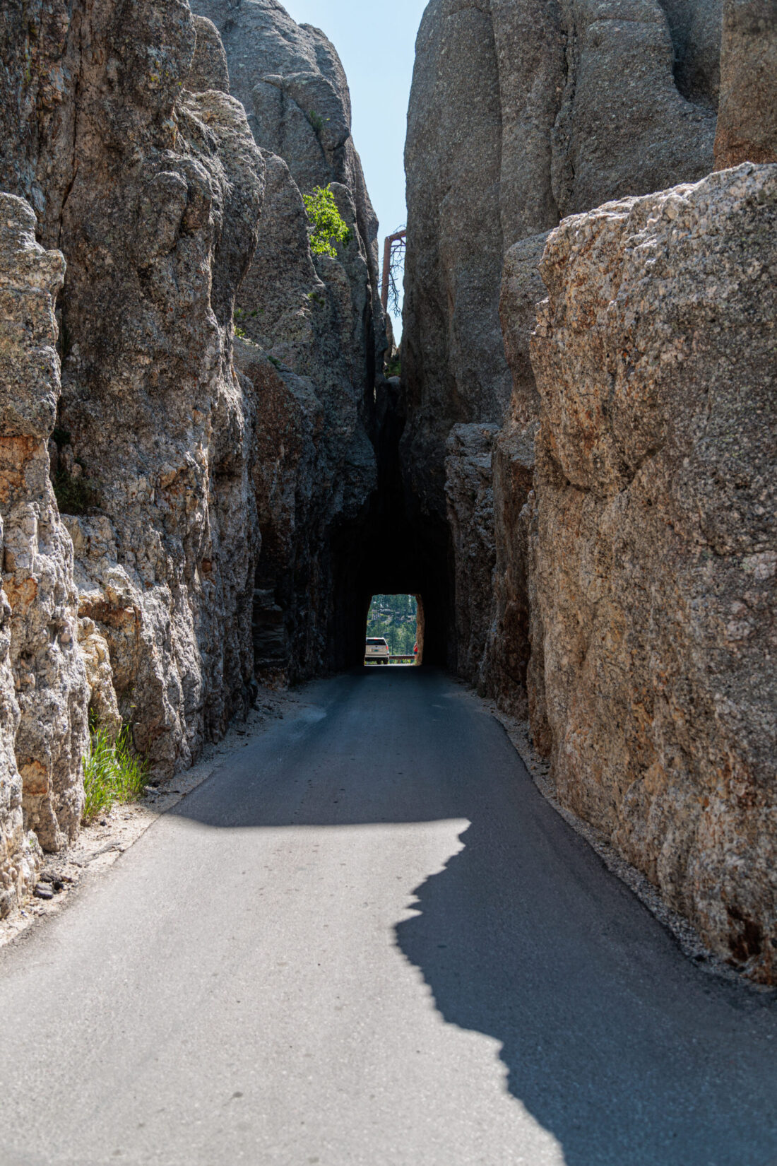 A narrow paved road passes through a tunnel carved in a rocky cliff, with greenery visible at the tunnel's end. Custer State Park with kids.