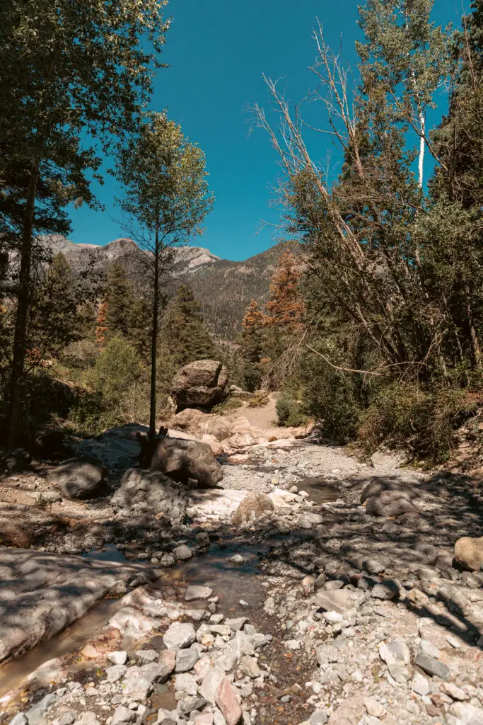 Rocky creek bed surrounded by trees with mountains in the background under a clear blue sky. 2 days in Ouray with kids.