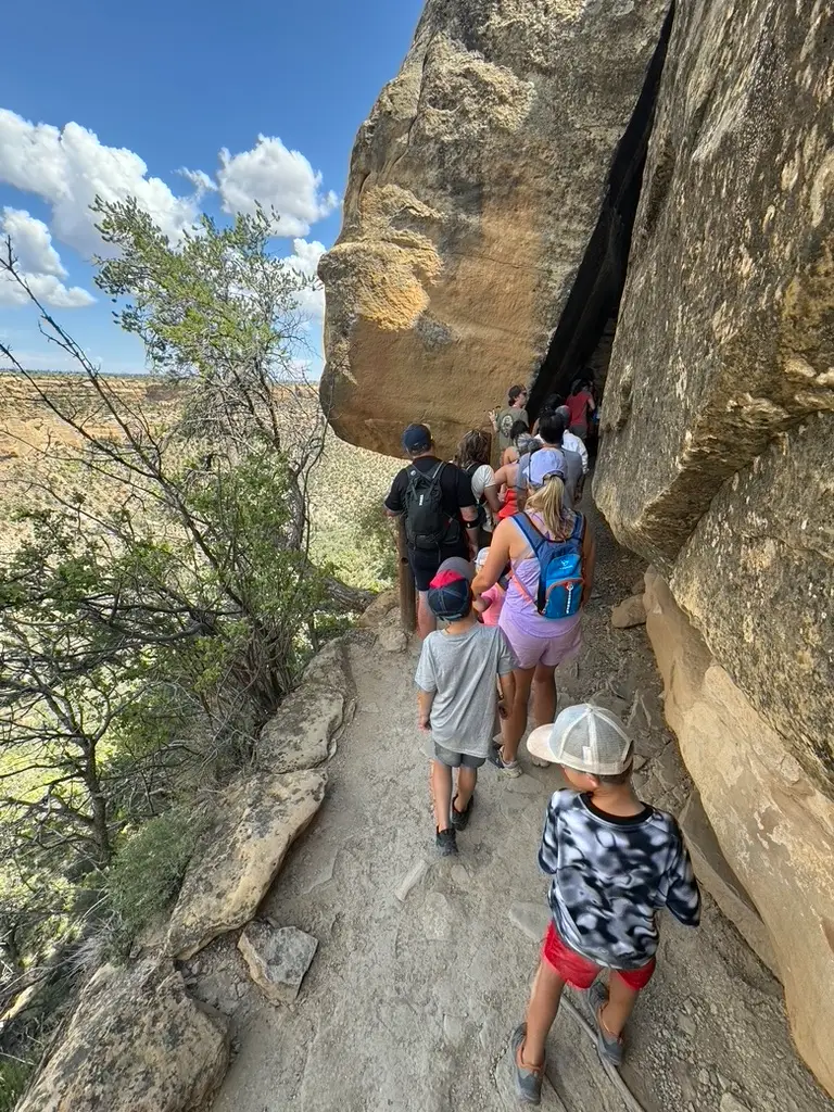 Families are hiking along a narrow rocky trail on a sunny day, navigating the steep cliffside of Mesa Verde with kids in tow, while lush vegetation thrives on the left.