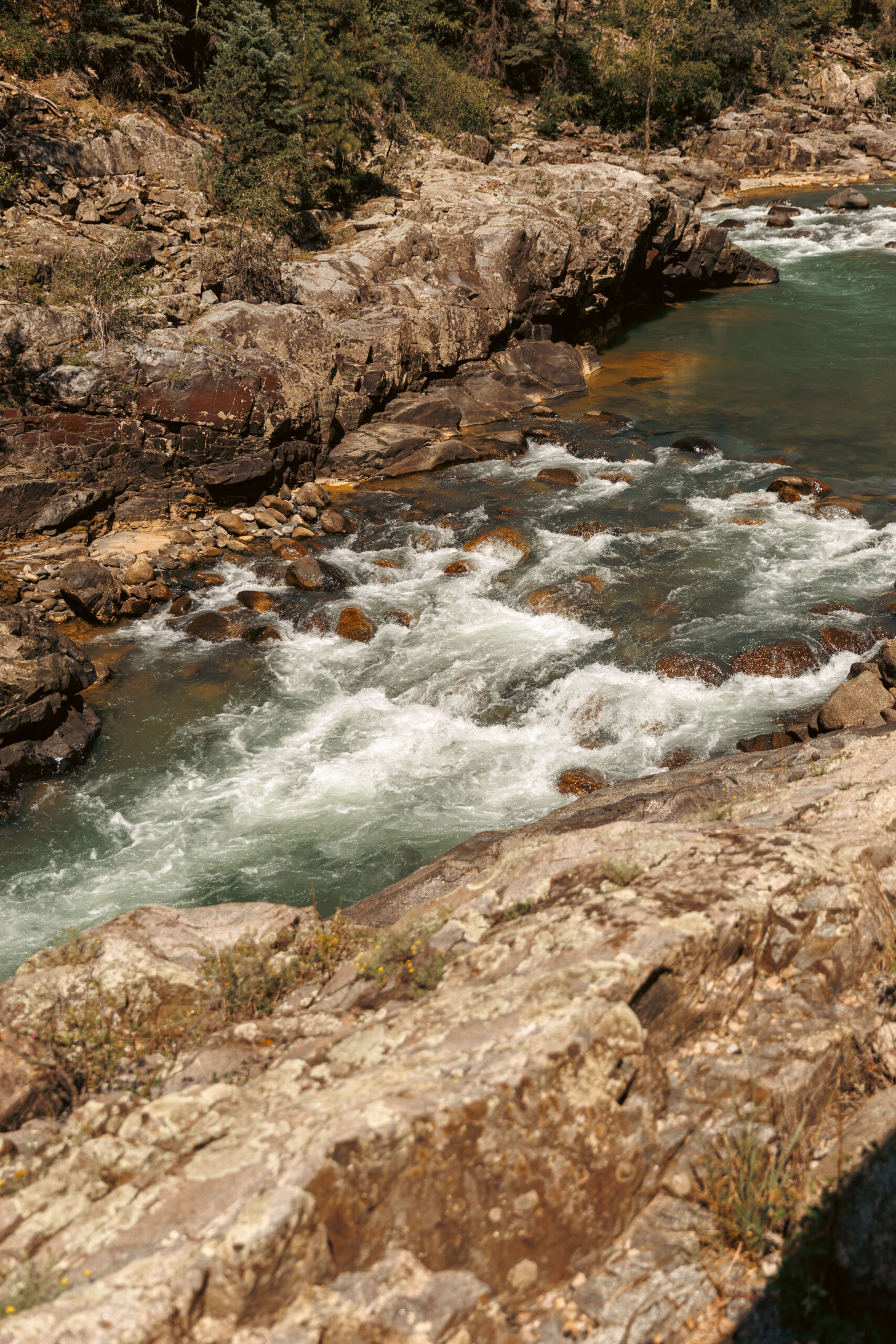 Rocky riverbank with clear, flowing water and light rapids surrounded by trees and rugged terrain, creating the perfect adventure backdrop after a fun day on the Durango train with kids.