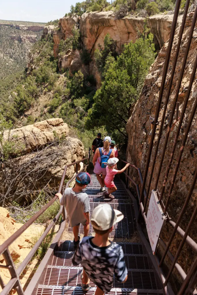 A group of people, including children and adults, descend a metal staircase along the rocky and green Mesa Verde canyon landscape under a clear sky.  Mesa Verde with kids.