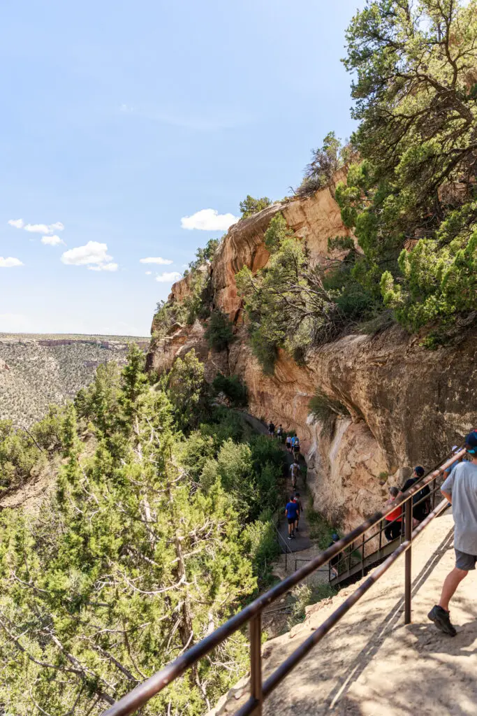 Families explore a narrow trail carved into the cliffside, surrounded by trees and overlooking a majestic canyon under the clear blue sky of Mesa Verde. It's an adventure perfect for kids, offering breathtaking views and endless excitement.  Mesa Verde with kids.