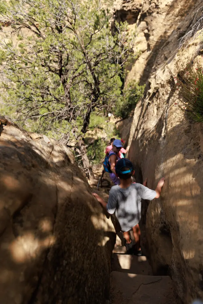 Families exploring Mesa Verde with kids navigate a narrow rocky path flanked by towering cliffs and lush trees, sunlight playfully filtering through the foliage.