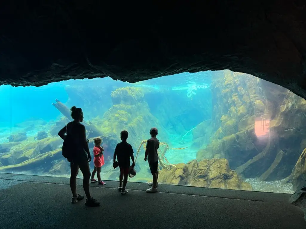 Silhouetted group of people standing by a large aquarium window, observing an underwater scene with rocks and aquatic life. Omaha Zoo with kids.